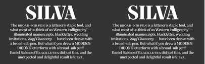 Silva Display & Silva Text by Daniel Sabino are available at Village.