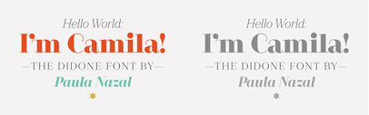 Camila by @Latinotype. Camila Family is 75% off until July 30.