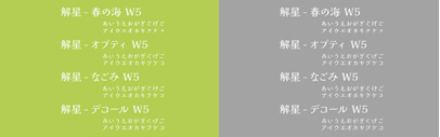 Font-Kai released a new Japanese typeface‚ 解星新ミン‚ which comes with 4 styles.