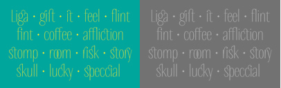 Delgado Sans by Gaslight; thin and contrasted sans for display use‚ supporting Cyrillic.