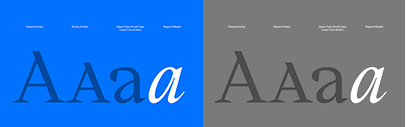 W Type Foundry released Cassius designed by David Súid.