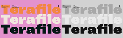 Sudtipos released Terafile designed by Raul Plancarte.