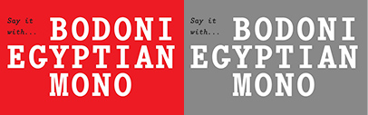 Shinntype released Bodoni Egyptian Mono.