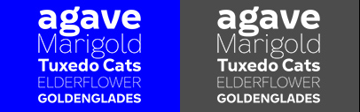 Felicette by Space Type was added to Future Fonts.