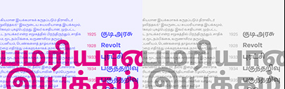 Rosetta released Adapter Tamil.