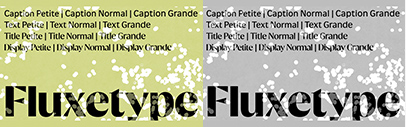 Type.today released Fluxetype designed by Nikita Kanarev.
