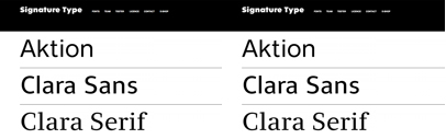 Signature Type