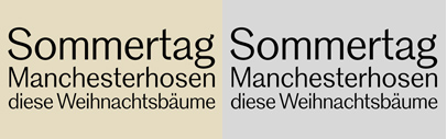 NarzissGrotesk by Hubert Jocham: it was inspired by 19th century grotesque specimen and of course by the Narziss family. It has 9 weights with corresponding italics.