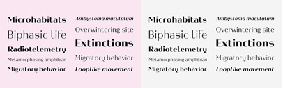 Heimat Display‚ the high contrast sans serif typeface family within the Heimat Collection.