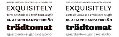 César Puertas structured his unique series into six styles with distinct but matching flavors: grotesque‚ rounded‚ slab-serif and transitional — all based on the same skeleton but with different finishing.