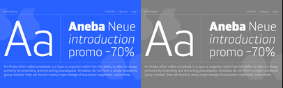 Aneba Neue by BORUTTA GROUP. 70% off until Sep 11.