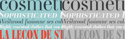 A brand new Ambroise in 28 fonts & 3 widths including new italics.