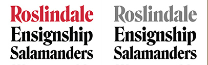 Join @djrrb’s Font of the Month Club! June’s font of the month is Roslindale.