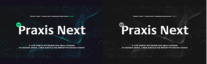 Praxis Next by Gerard Unger and Linda Hintz. 75% off for a limited time.