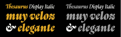 @typotheque released Thesaurus Display Italic designed by @fermin_guerrero.