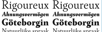DSType’s new typeface: Ines‚ a new book font.