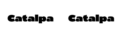 Type Together released Catalpa.