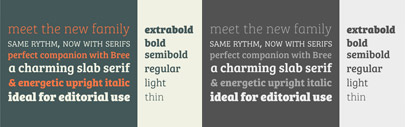 Bree Serif‚ a companion to Bree‚ by Type Together 
