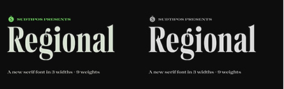 Sudtipos released Regional. It comes in 27 styles + 1 variable font.