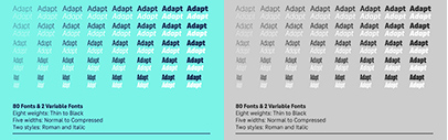 Supertype released Adapt. It comes in 80 static styles and 2 variable styles.