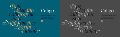 Caligo is a typeface based on calligraphy done with a parallel pen. It's classic and elegant with a modern twist‚ featuring flared serifs‚ lots of ligatures and swashes.
