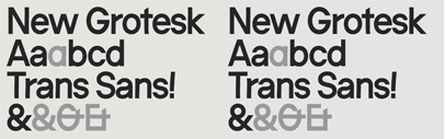 Superior Type released Trans Sans.