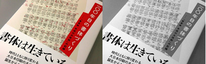 DNP has published a book on “the project to renew Shueitai for the Heisei era” — 7 years development of “Shueitai” including 10 fonts and 120‚000+ characters. This book is available through major books stores in Japan and its e-book version is for free at “honto” until the end of November.