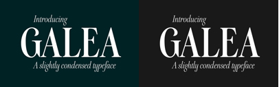Galea is a slightly condensed serif typeface with long extenders. Designed by @bellera