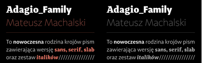 Adagio by @borutta1: it consists of Sans‚ Serif‚ and Slab. Each of them has 9 weights and corresponding italics.