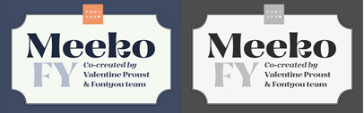 Meeko FY‚ a singular display type with high contrasted and friendly flared shapes